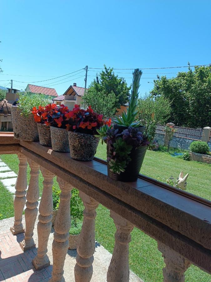 Calm Nest Apartment Niksic Luaran gambar