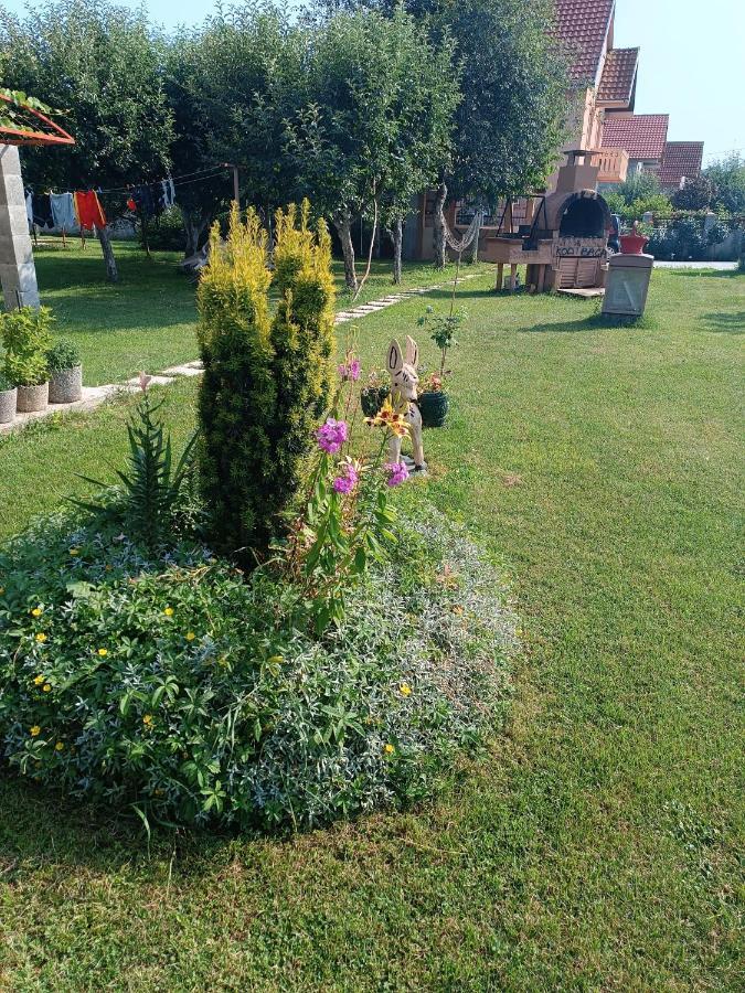 Calm Nest Apartment Niksic Luaran gambar