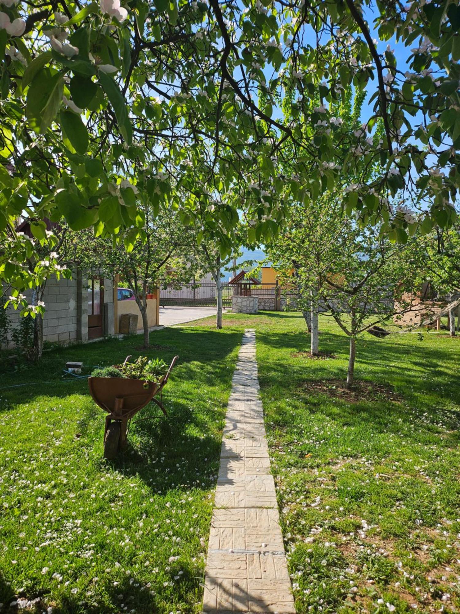 Calm Nest Apartment Niksic Luaran gambar
