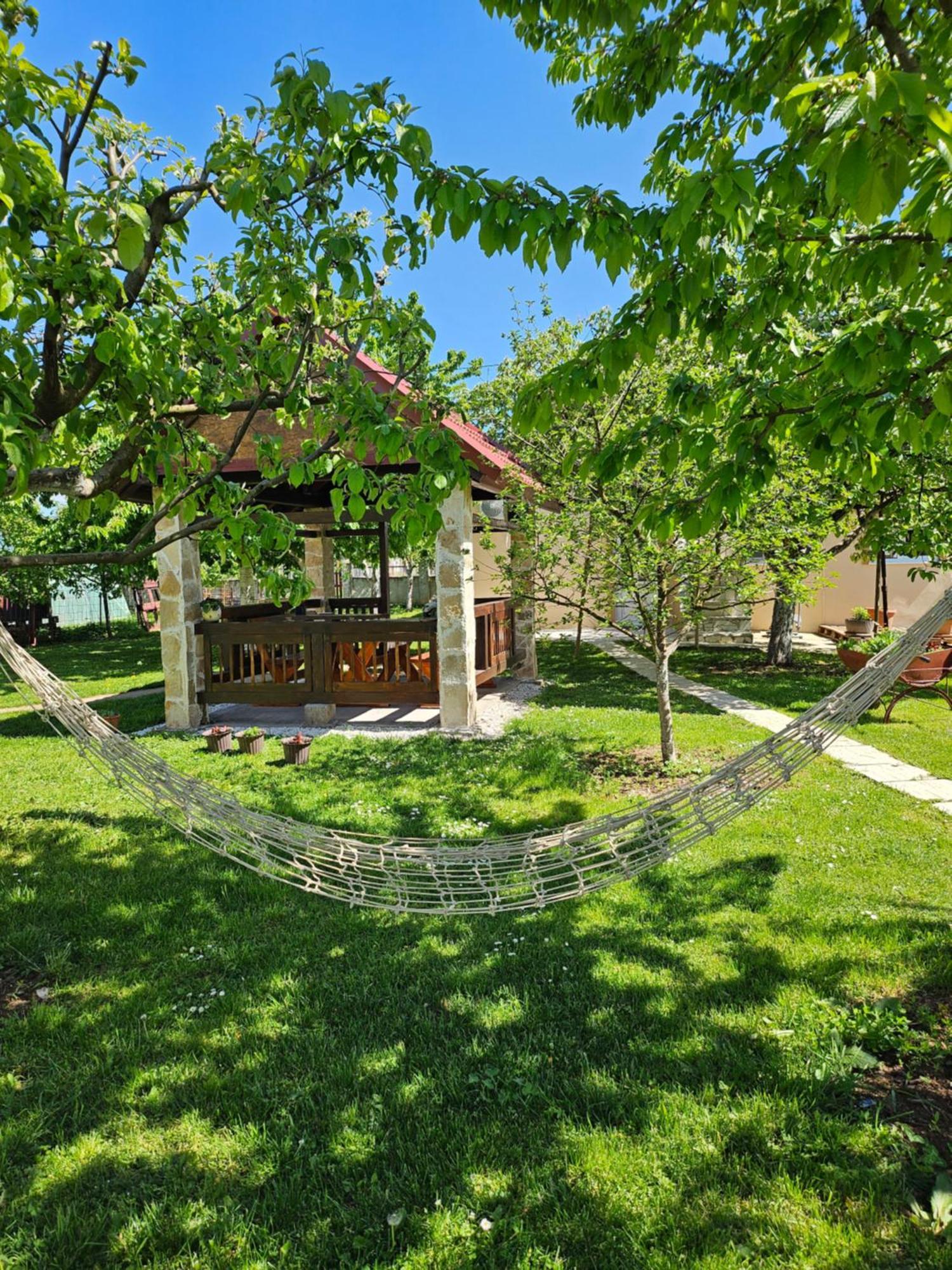 Calm Nest Apartment Niksic Luaran gambar